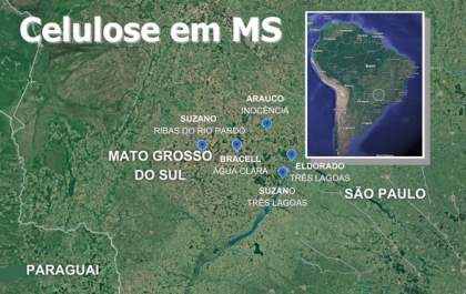 Celulose Consolida Liderança em Mato Grosso do Sul com 42% de Quota de Mercado