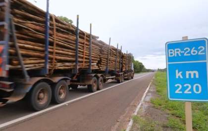 Rota da Celulose em MS entra em disputa judicial após desclassificação da K-Infra e avanço da XP