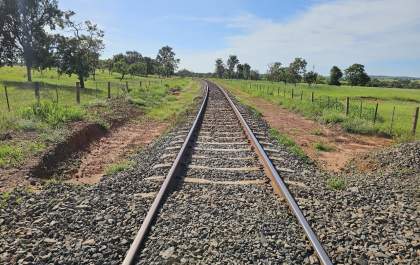 Nova malha ferroviária da celulose em MS reposiciona logística, reduz custos e fortalece rota até o Porto de Santos