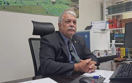MP investiga aumento de atropelamentos de animais silvestres em rodovias de Três Lagoas