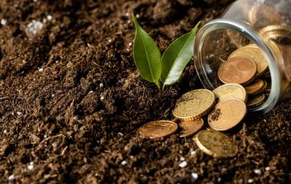 Crédito rural cresce 6% e impulsiona setor florestal