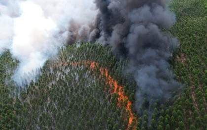 Governo reduz R$ 101 milhões para prevenção de incêndios
