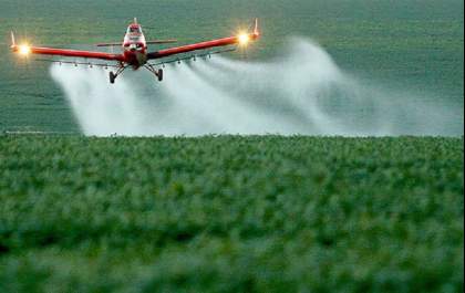 Agrotóxicos estão mais nocivos e elevam risco ambiental
