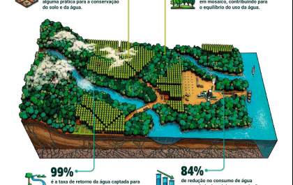 Dia Mundial da Água: como a indústria de árvores cultivadas protege os recursos hídricos