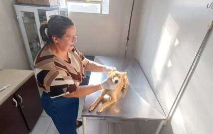 Capital do Vale da Celulose ganha novo centro de reabilitação animal