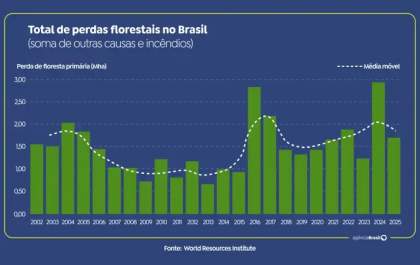 Brasil reduz em 42% perdas florestais em 2025, aponta estudo