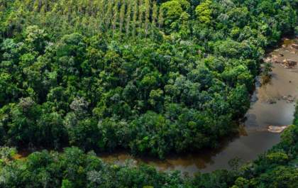 Bracell avança na contribuição para paisagens sustentáveis e supera metas de conservação da biodiversidade
