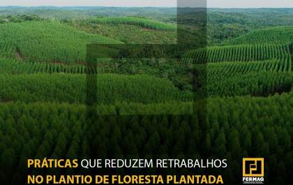 Práticas que reduzem retrabalhos no plantio de florestas plantadas