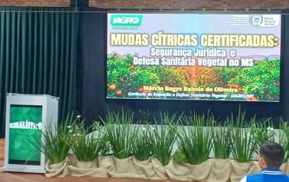 Citricultura de MS avança com mudas certificadas e rigoroso controle sanitário