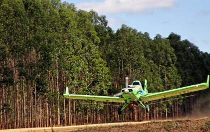 vAviões agrícolas fortalecem manejo das florestas de eucalipto no Vale da Celulose
