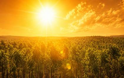 Brasil poderá ter até 127 dias de calor extremo por ano até 2075