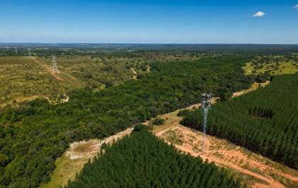 Arauco usa drones para instalar cabos de alta tensão e reduzir impacto ambiental em MS