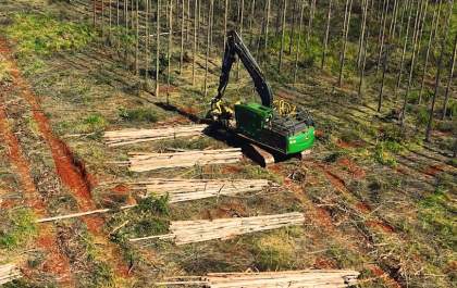 Arauco abre inscrições para qualificação de operadores e mecânicos de máquinas florestais em seis cidades de MS