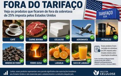 Tarifaço dos EUA preserva café, carne e celulose, mas preocupa cadeias do agro brasileiro