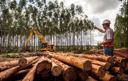 Suzano e Senai oferecem 75 vagas para curso gratuito de mecânica florestal em MS