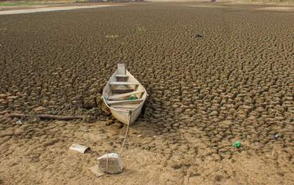 Brasil quer restaurar 163 mil km² de terras degradadas até 2030
