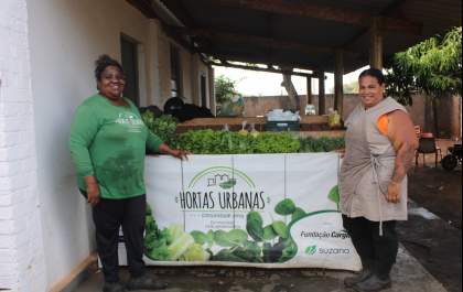 Hortas apoiadas pela Suzano movimentam R$ 163,8 mil em Três Lagoas