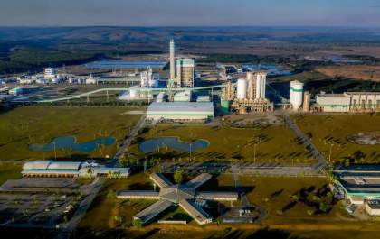 Veracel alcança recorde histórico com 107,4 mil toneladas de celulose em agosto