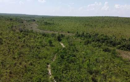 Suzano transforma 1,2 mil hectares de Cerrado em reserva permanente em MS