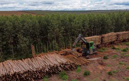 Suzano abre 12 vagas de emprego em Ribas do Rio Pardo, Três Lagoas e Bataguassu (MS)