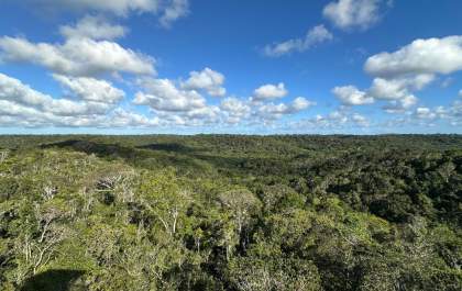 Reserva da Bracell completa 30 anos protegendo a Mata Atlântica na Bahia