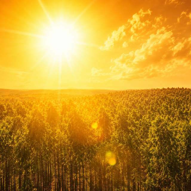 Brasil poderá ter até 127 dias de calor extremo por ano até 2075